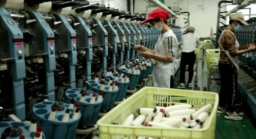 北湖区 订单追着企业跑，服务围着企业转——纺织品产业的转型与振兴