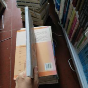 高等院校动画专业系列教材 动漫产业分析与衍生产品研发——纺织品研发