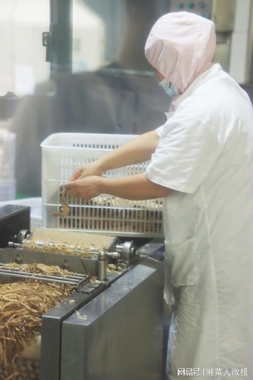 强品牌,走c端 湖南省餐协赴世林食品开展产品研发交流活动